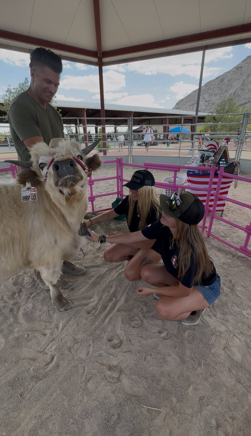 Cow Cuddling on the Go Experience (5 Hours)