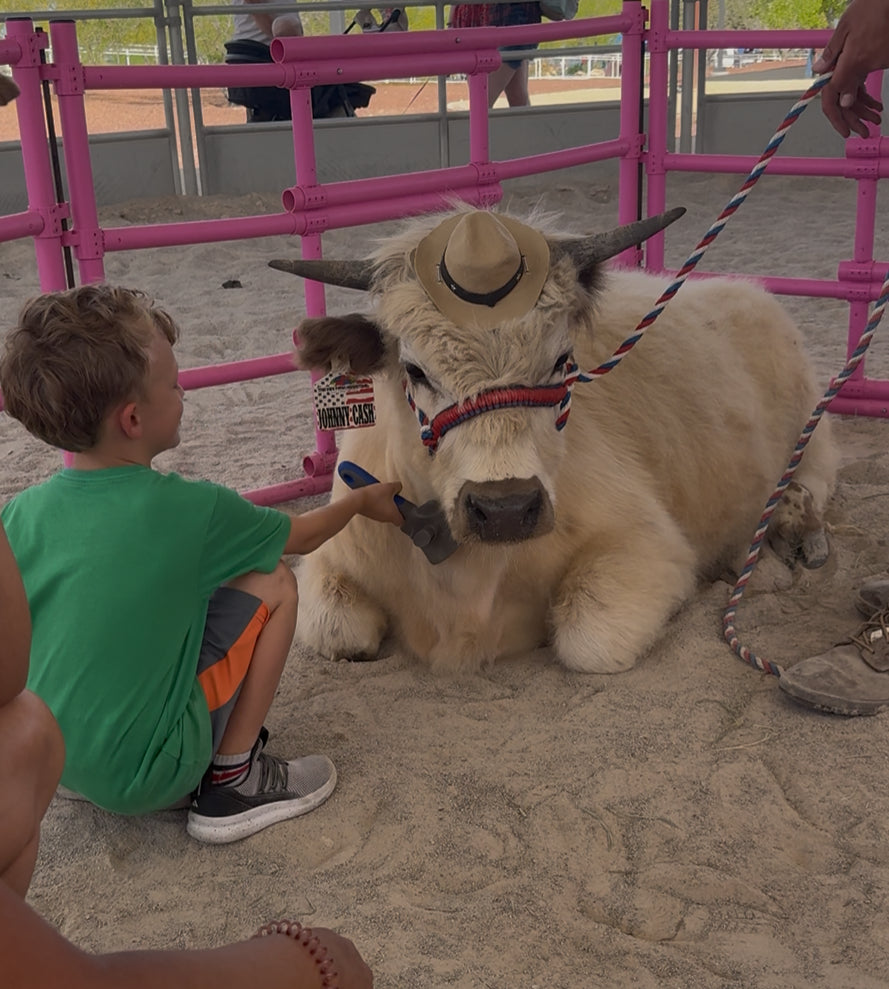 Cow Cuddling on the Go Experience (4 Hours)