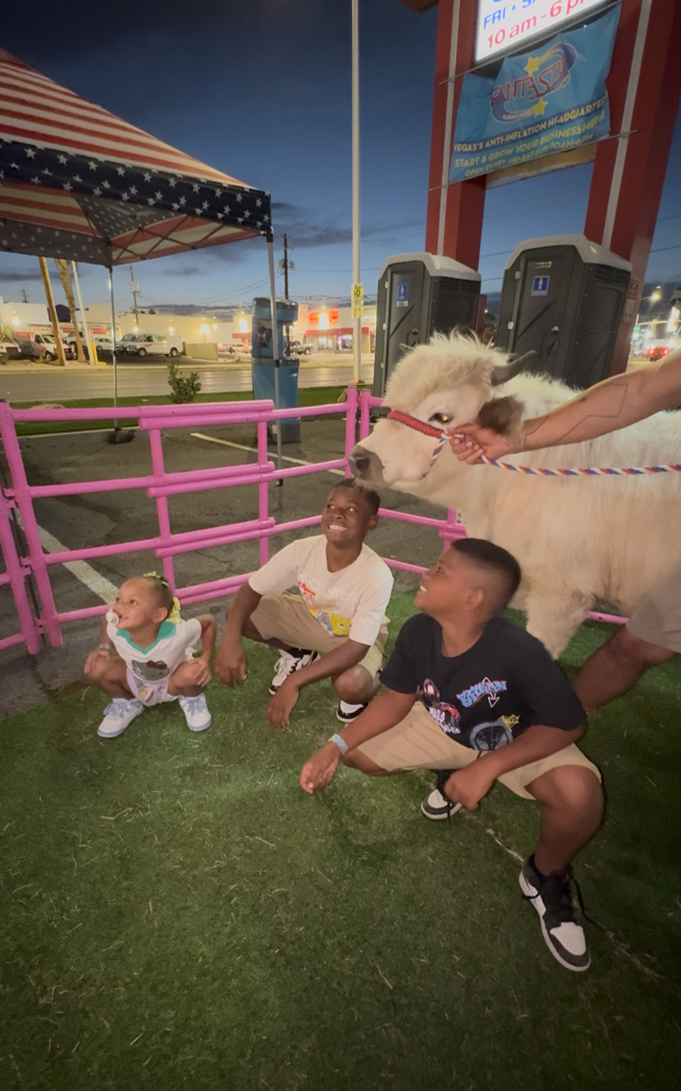 Cow Cuddling on the Go Experience (3 Hours)