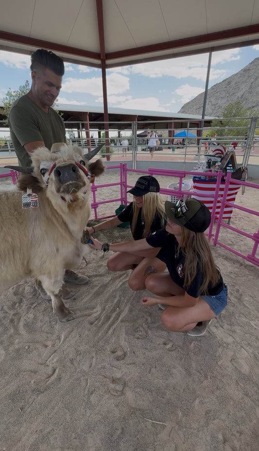 Cow Cuddling on the Go Experience (5 Hours)